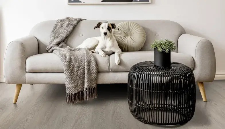 Living Greenland Grey